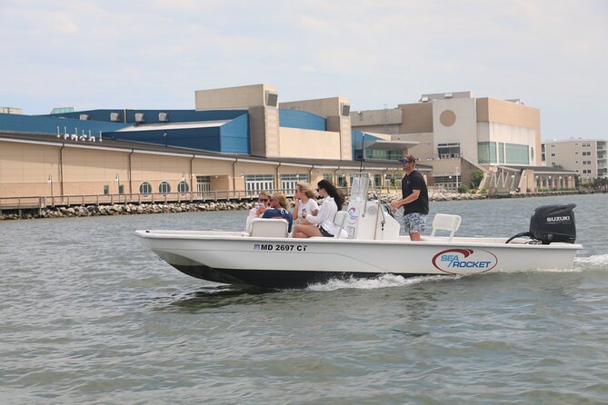1-Hour Private Party Assateague Island Pony Cruise in Ocean City - An Intimate 1-Hour Private Pony and Wildlife Cruise in Ocean City