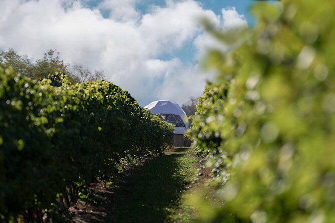 1 Hour Private Vineyard Dome Experience in Niagara-on-the-Lake - Expert Guides and Warm Hospitality