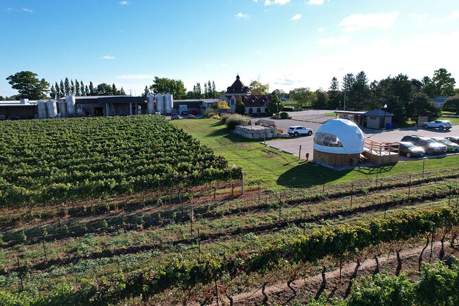 1 Hour Private Vineyard Dome Experience in Niagara-on-the-Lake - The Value of the Private Tasting Experience