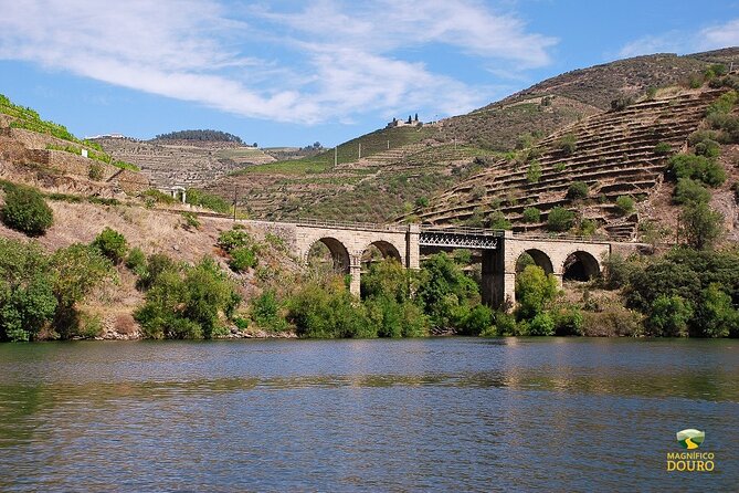 1-Hour Rabelo Boat Trip in Pinhão - Scenic Views of Douro Vineyards from the Water