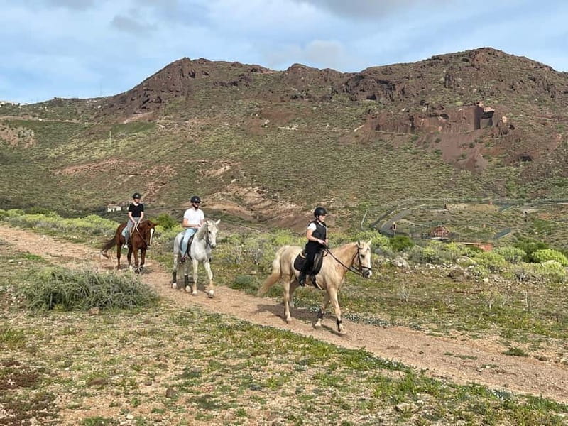 1 hour relaxing horse riding tour in Gran Canaria - Discover a Gentle Horseback Ride with Scenic Views in Gran Canaria