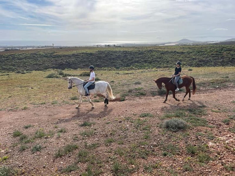 1 hour relaxing horse riding tour in Gran Canaria - Key Points