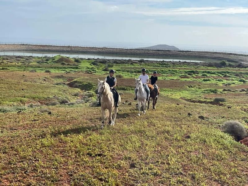 1 hour relaxing horse riding tour in Gran Canaria - What the Horse Riding Experience Looks Like