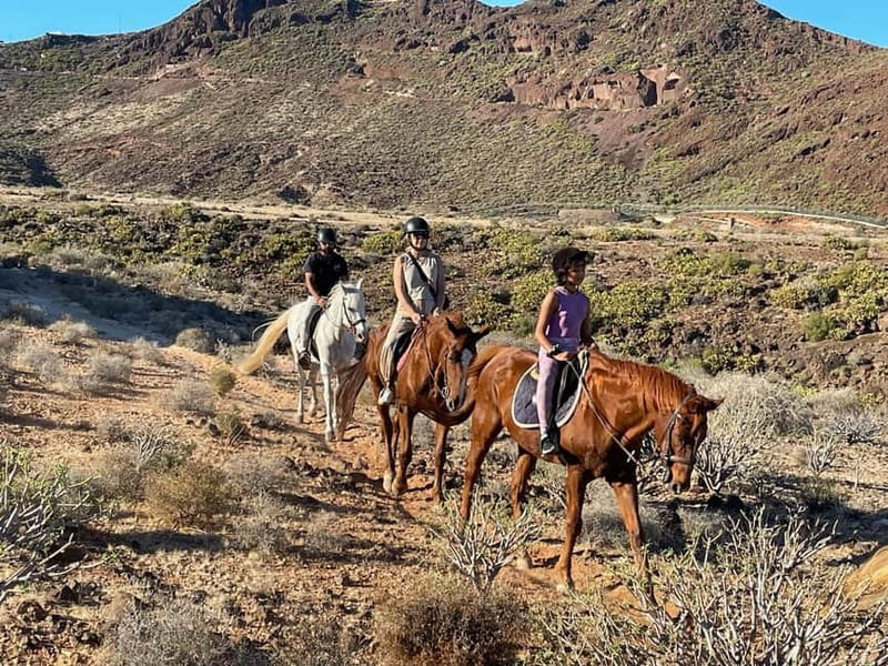 1 hour relaxing horse riding tour in Gran Canaria - Flexibility and Booking Options