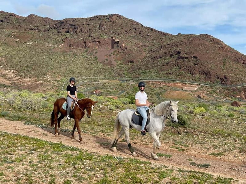 1 hour relaxing horse riding tour in Gran Canaria - What Sets This Tour Apart from Others