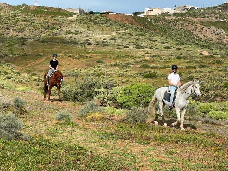 1 hour relaxing horse riding tour in Gran Canaria - Final Thoughts on the Relaxing Horseback Ride