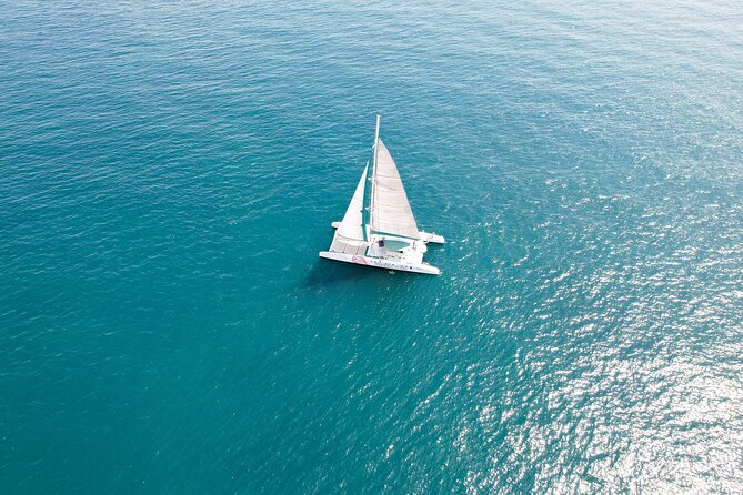 1 Hour Sailing Excursion in Valencia - The Departure Point at Junto al Veles y Vents