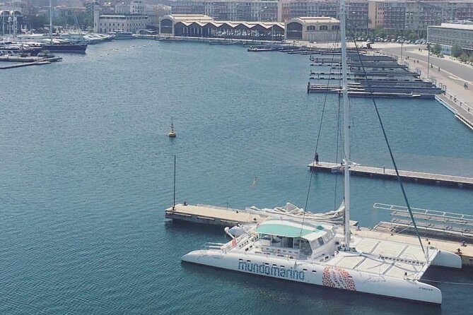 1 Hour Sailing Excursion in Valencia - Group Size and Accessibility