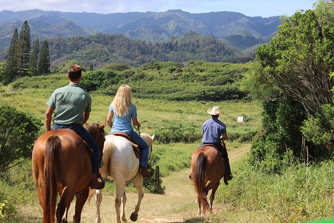 1 Hour Scenic Horseback Ride - What Makes the Trail at Gunstock Ranch Special