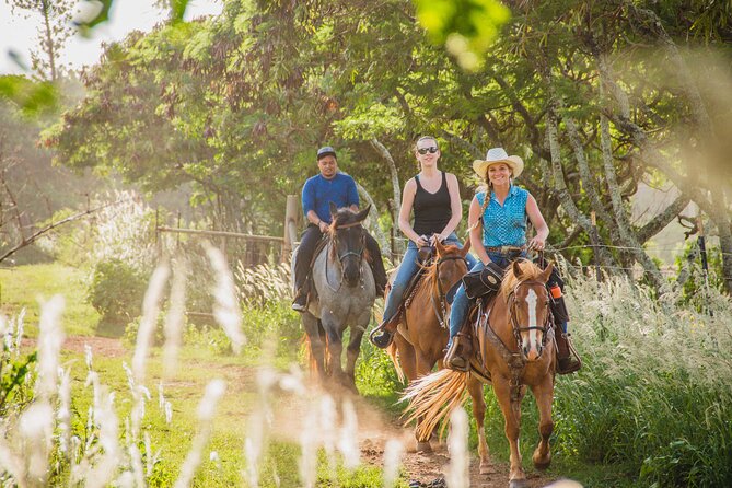 1 Hour Scenic Horseback Ride - Booking, Cancellation, and Weather Policies