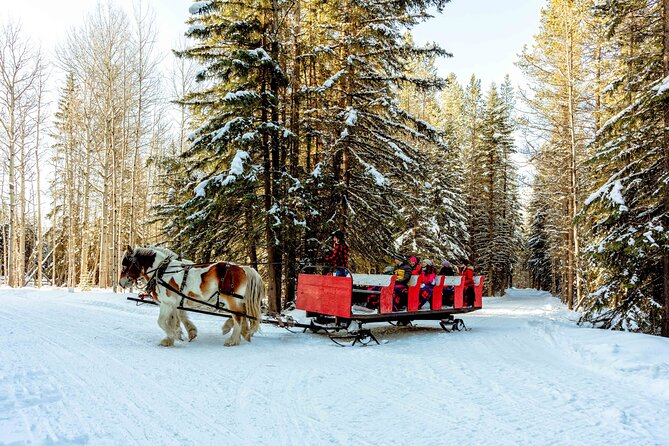 1 Hour Shared Winter Sleigh Ride Experience in Kananaskis - Boundary Ranch’s Old-Fashioned Horse-Drawn Sleigh Ride