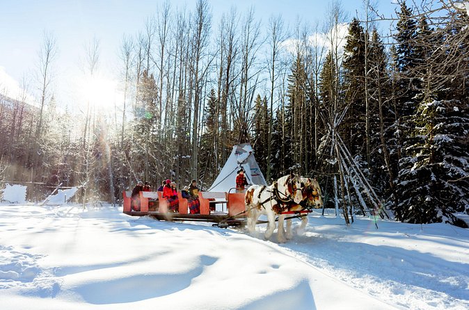 1 Hour Shared Winter Sleigh Ride Experience in Kananaskis - Additional Warmth and Comfort Options