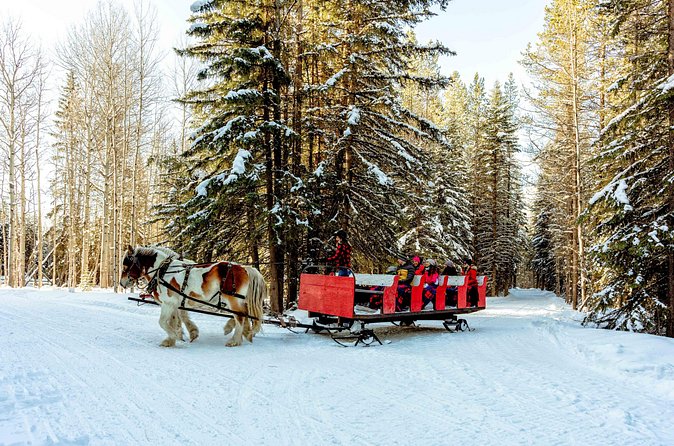 1 Hour Shared Winter Sleigh Ride Experience in Kananaskis - Weather and Cancellation Policy