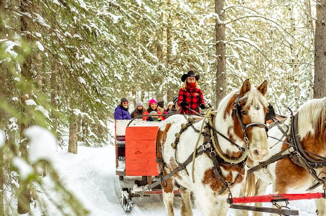 1 Hour Shared Winter Sleigh Ride Experience in Kananaskis - Why Choose This Sleigh Ride?
