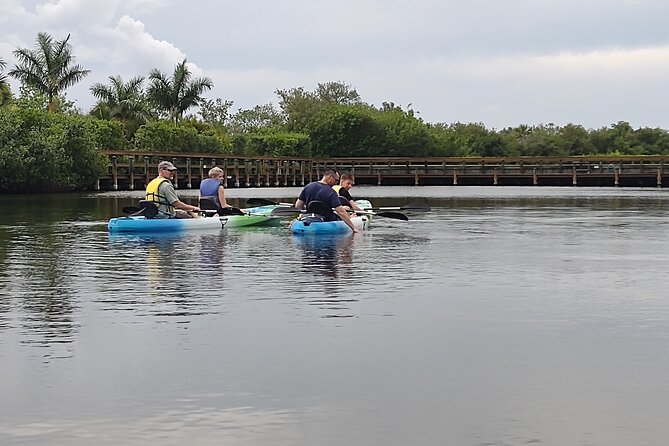 1-Hour Single Kayak Rental with Manatee & Dolphin sightings - What Makes This Tour Stand Out for Wildlife Enthusiasts