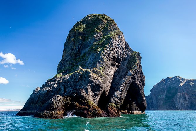1-Hour Small Group Sightseeing Boat Tour in Vestmannaeyjar - What Sets This Tour Apart: Personalization and Wildlife Focus