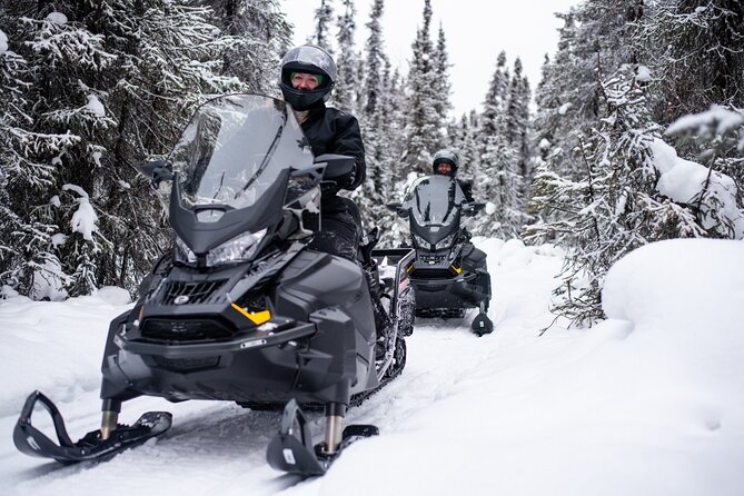 1 Hour Snowmobile Adventure in Boreal Forest - The Route: Along the Trans Alaska Pipeline and into an Authentic Trapline