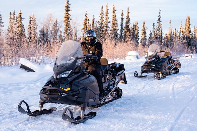 1 Hour Snowmobile Adventure in Boreal Forest - Practical Details: Meeting Point, Booking, and Cancellation
