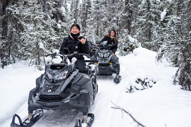 1 Hour Snowmobile Adventure in Boreal Forest - What Sets This Tour Apart from Other Snowmobile Experiences