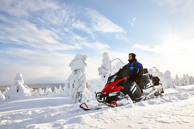 1-Hour Snowmobile Safari Adventure in Rovaniemi - Key Points
