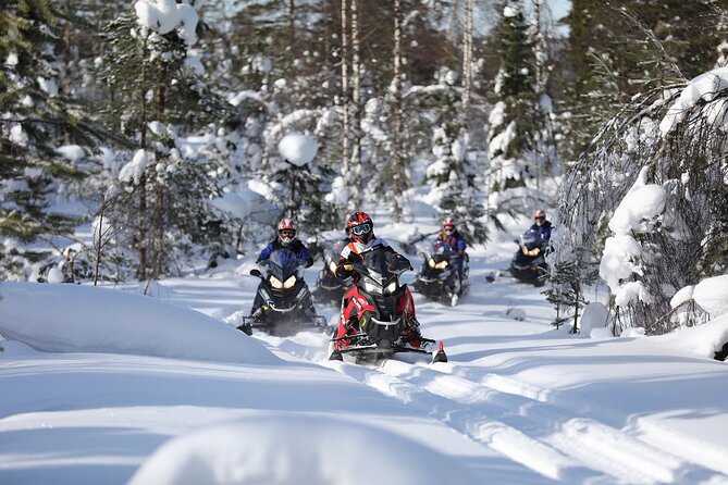 1-Hour Snowmobile Safari Adventure in Rovaniemi - Learning How to Safely Ride a Snowmobile