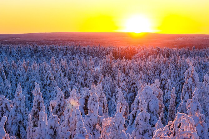 1-Hour Snowmobile Safari Adventure in Rovaniemi - Pricing and Booking in Advance