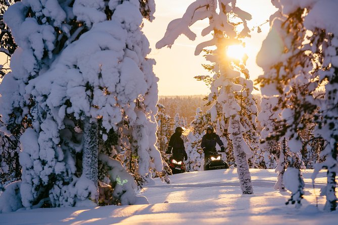 1-Hour Snowmobile Safari Experience - Safety Measures and Equipment Provided