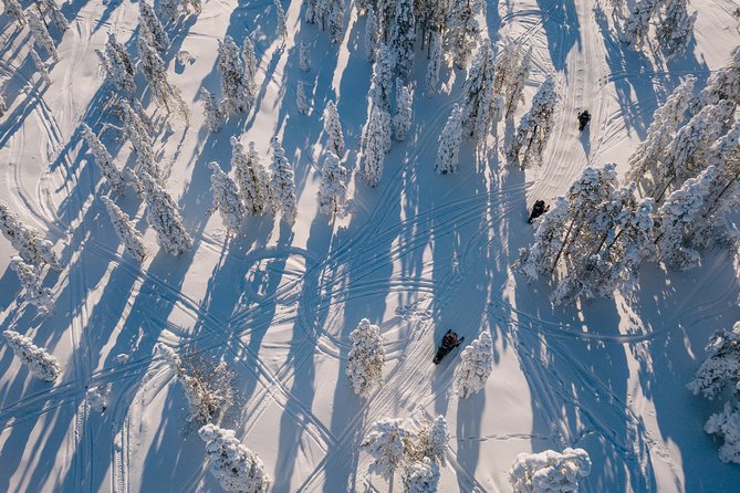 1-Hour Snowmobile Safari Experience - Practical Details: Meeting Point and Group Size