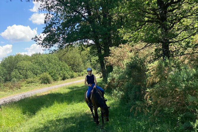 1-hour tourist walk with guide - The Scenic Environment of Domaine du Roiffe