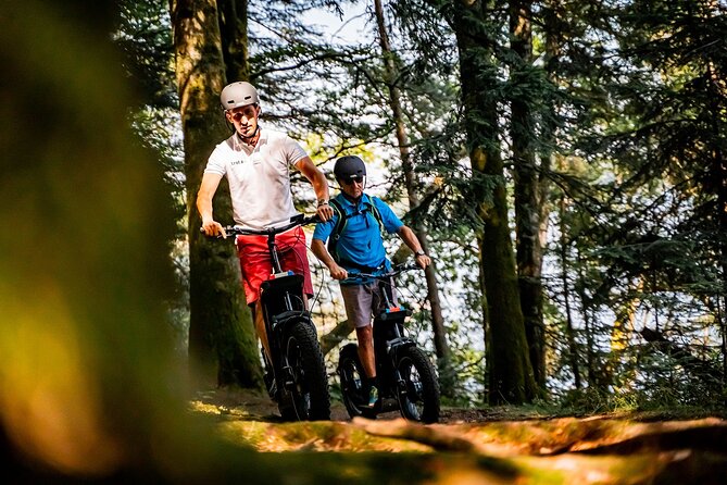 1 hour walk - The Gabarres river route - Benefits and Considerations for Your Cognac Trip