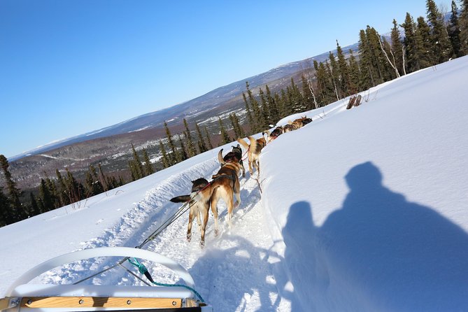 1 hour Winter Dog Sledding in Fairbanks - Experience a 6-Mile Mushing Ride with Trail Variety
