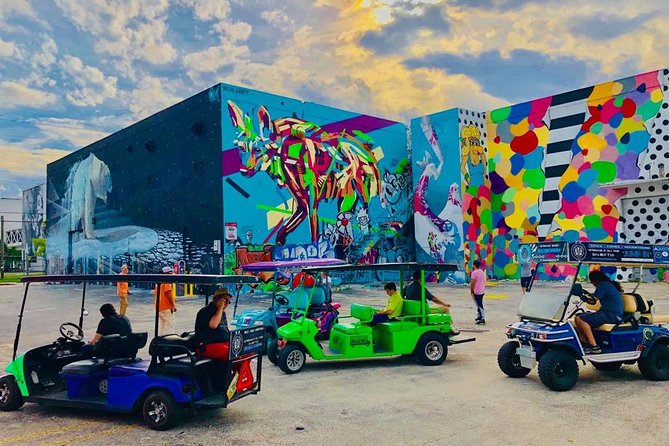 1 Hour WYNWOOD BUGGIES tour - Parking, Transportation, and Accessibility