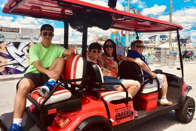 1 Hour WYNWOOD BUGGIES tour - Why Choose the Wynwood Buggies Tour?