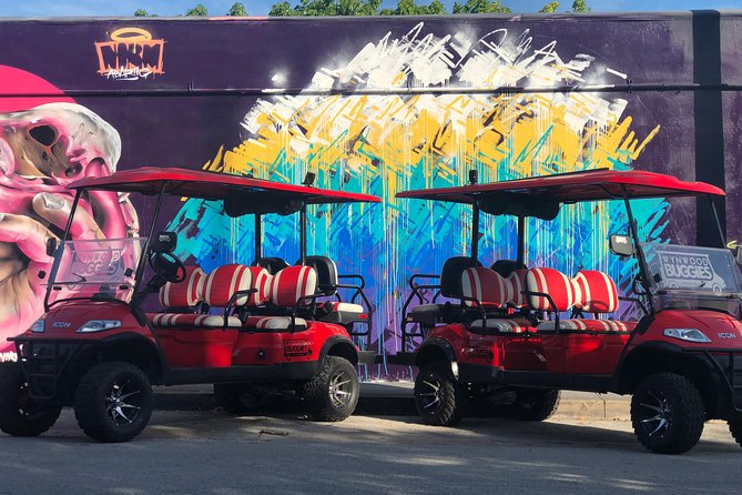 1 Hour WYNWOOD BUGGIES tour - Frequently Asked Questions