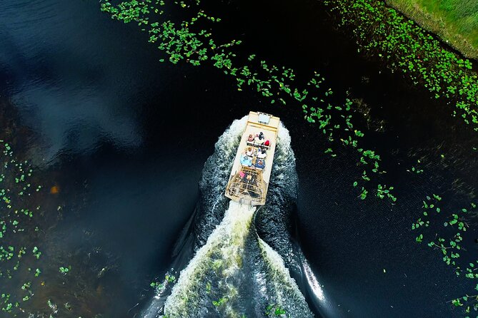 1 hr Private Airboat Everglades Tour near Miami - Pacing and Duration: Is it Enough?