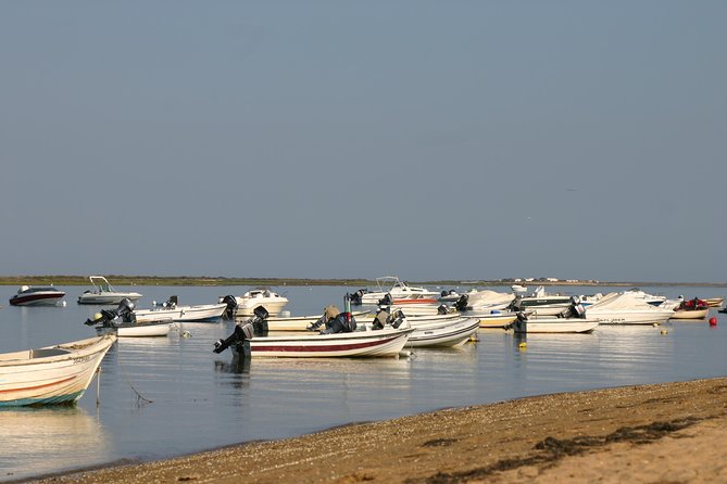 1 or 2 Hour Speed Boat Tour - Ria Formosa - Visiting Ria Formosa Natural Park