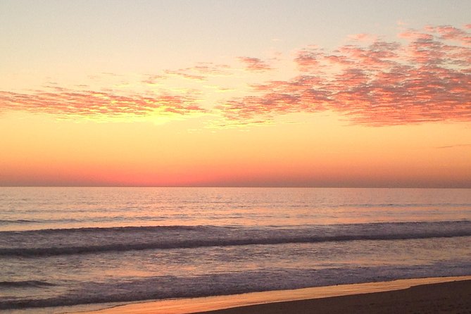 1 or 2 Hour Speed Boat Tour - Ria Formosa - Environmental Significance and Local Economy