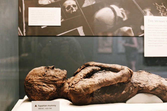 #1 Smithsonian Natural History + American History Museum Tour - Practical Considerations and Tips