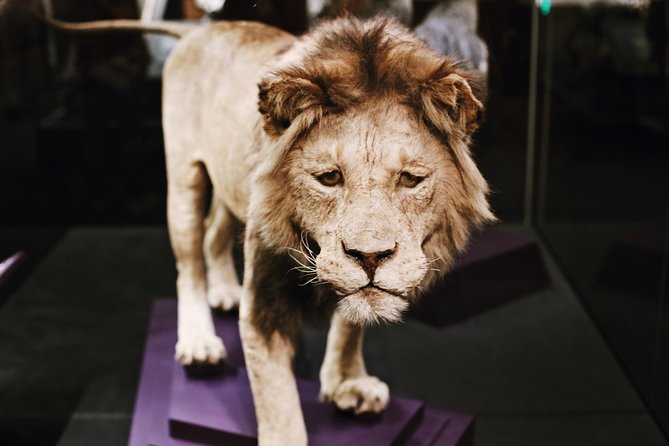 #1 Smithsonian Natural History + American History Museum Tour - Who Will Enjoy This Tour Most