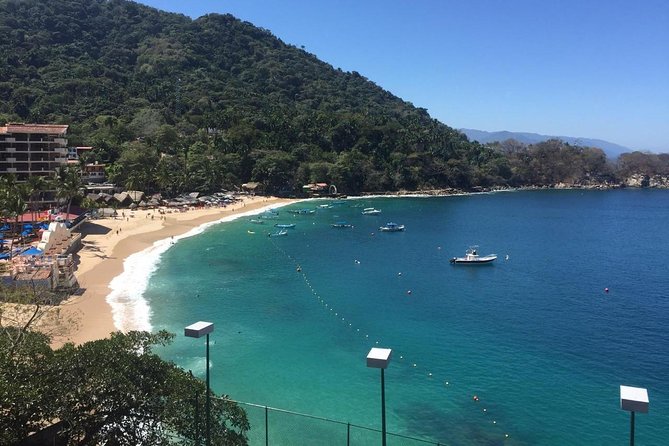 1 to 10 Passengers Vallarta Private City Tour - Comfort and Convenience: Vehicle and Guides