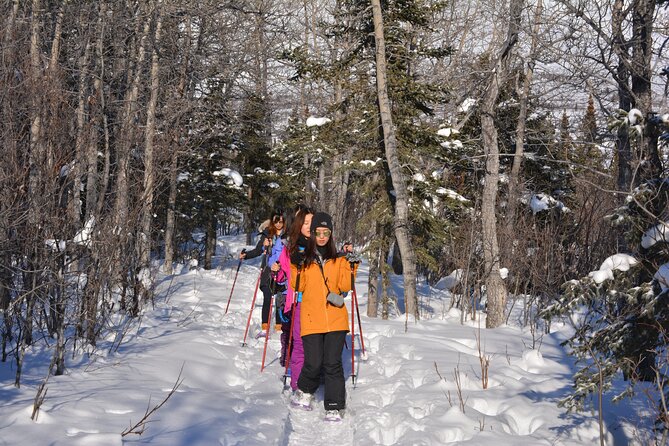 10 Hours Denali Winter Drive in Alaska - Snowshoeing and Nature Walks in Denali