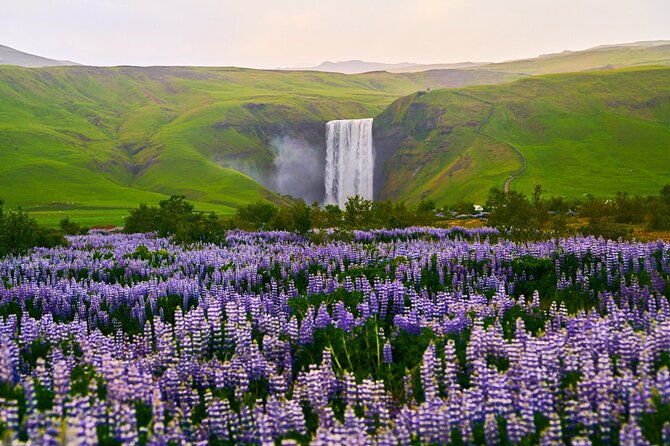 10 hours Private South Coast Guided Tour - Visiting Reynisfjara Beach, One of the World’s Most Beautiful Non-Tropical Beaches