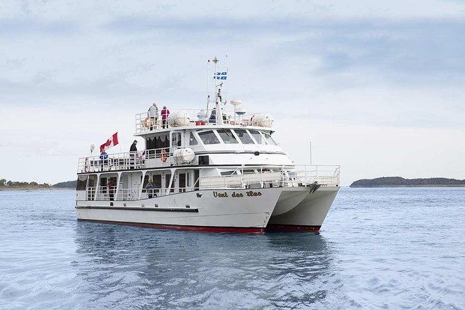 1000 Little Penguins Cruise - Key Points