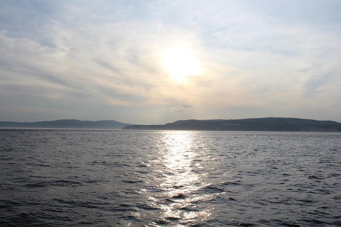 1000 Little Penguins Cruise - Frequently Asked Questions