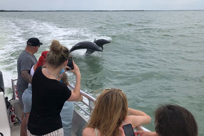 10,000 Islands Excursion Small-Group 3.5 hour Dolphin & Shelling Boat Tour - Starting Point at Marco Island Boat Tours in Goodland