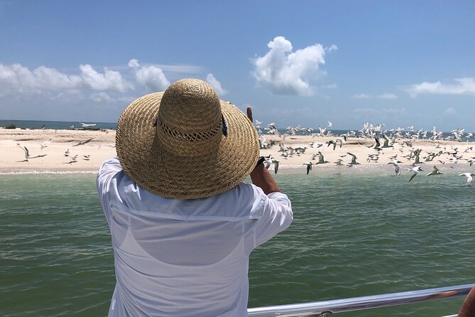 10,000 Islands Excursion Small-Group 3.5 hour Dolphin & Shelling Boat Tour - Comparing This Tour to Other Options in the Area