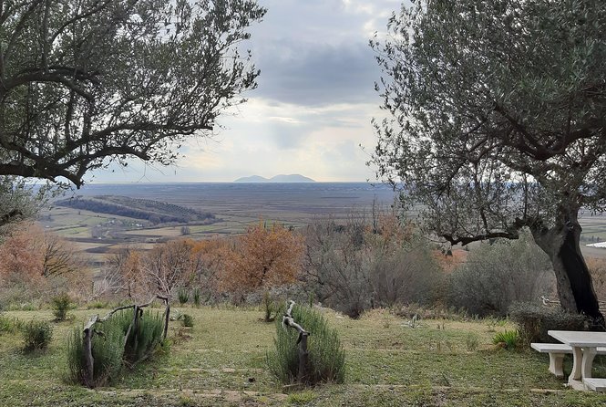 1001 Windows of Berat & Golden Sunset in Apollonia - Additional Options: Lunch and Flexibility