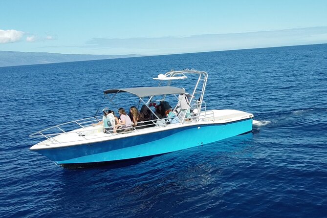 12 Passenger Kaanapali Beach Whale Watch tour. Onboard Whale Mic - Starting Point and Tour Duration at Ka`anapali Beach