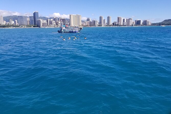 12pm Turtle Canyon Snorkel Adventure - Comfort and Convenience on the Catamaran