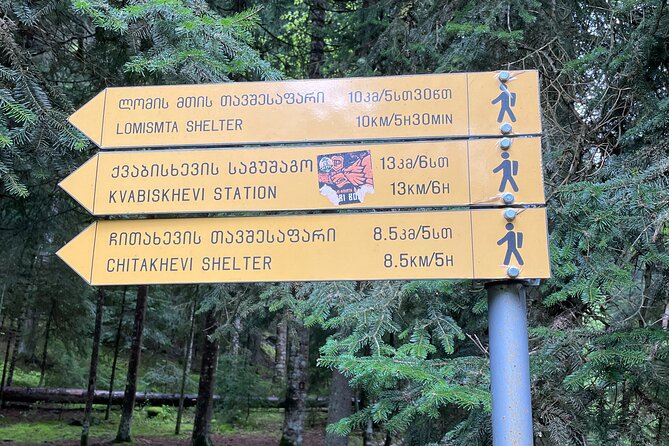 13 km hike in Borjomi - Group tour from Tbilisi - Starting Point and Group Logistics in Tbilisi